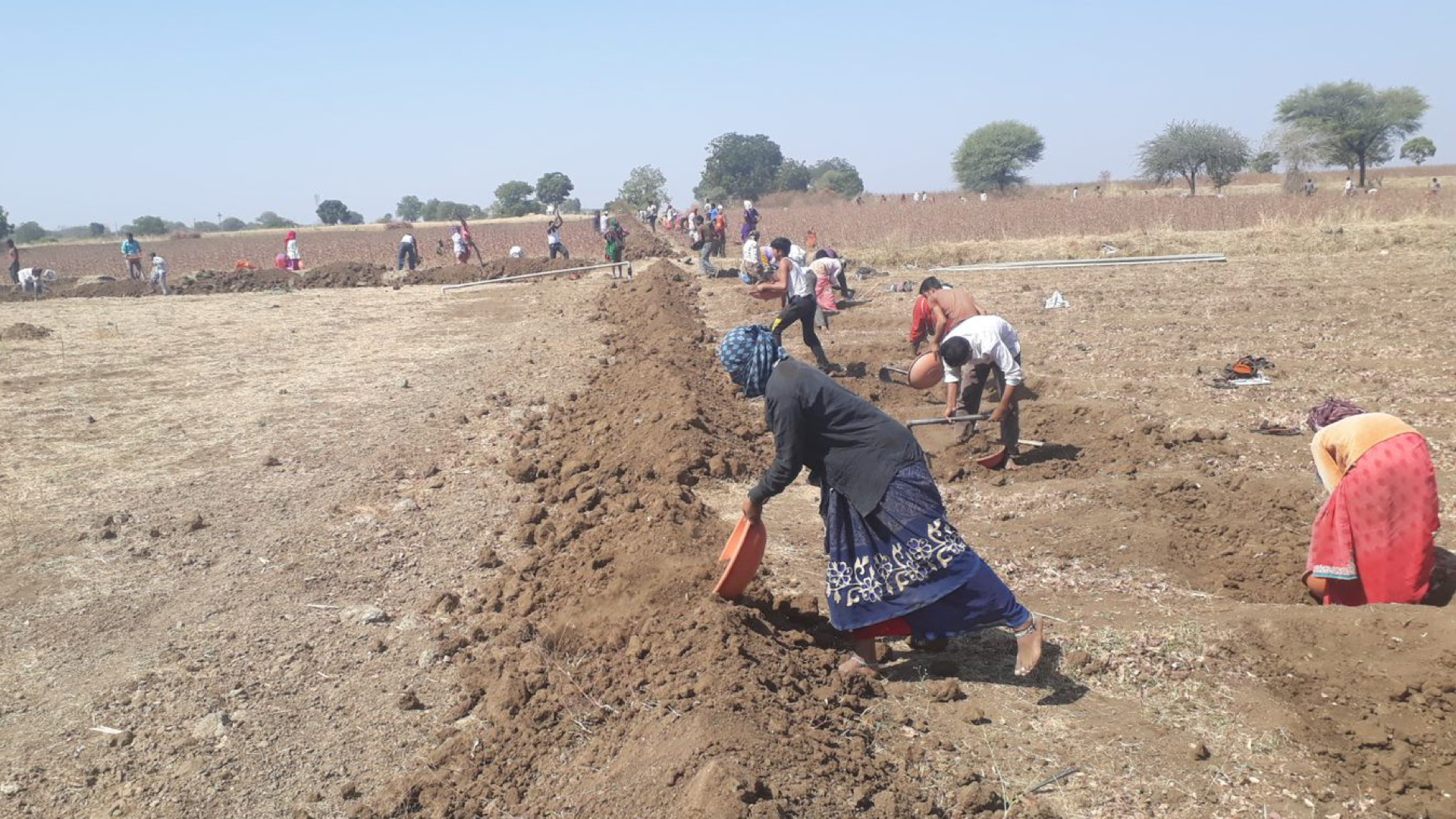 People digging in dry earth