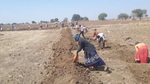 People digging in dry earth
