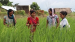 Smiling women in a field