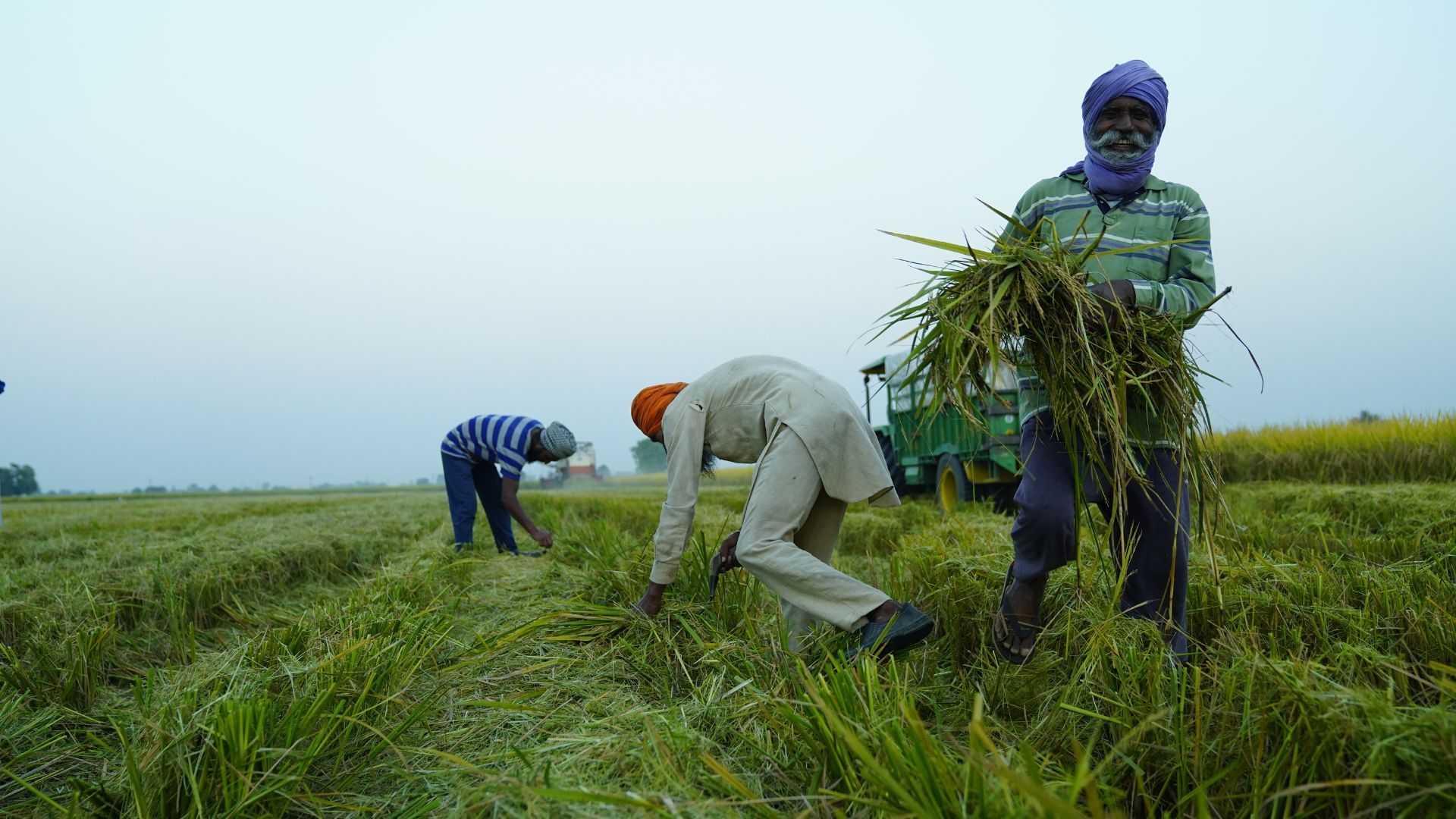 Farmers working hard in the field