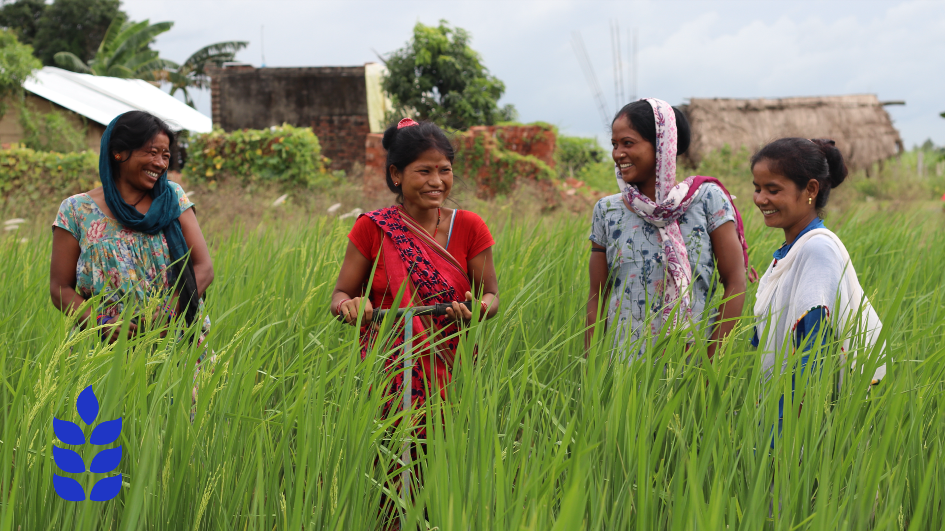 Woman in field checking crops