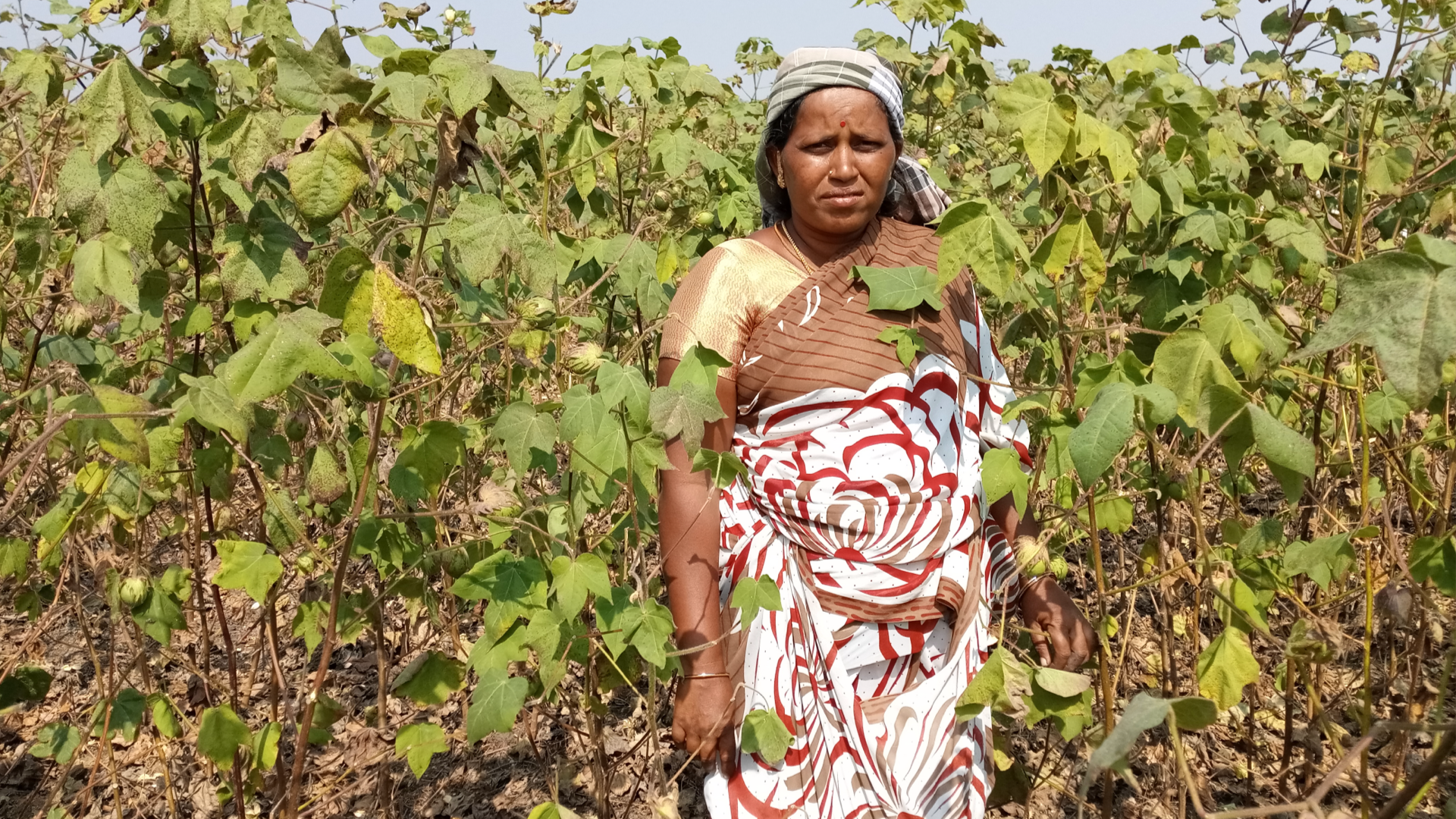 Woman stood surrounded by crops